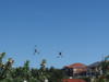 P4020101.JPG